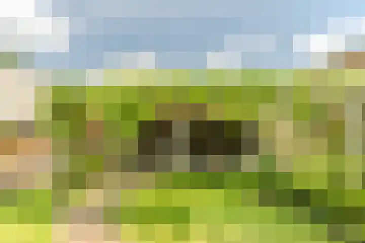 Van den Elsenstraat 20 Diessen thumbnail 53