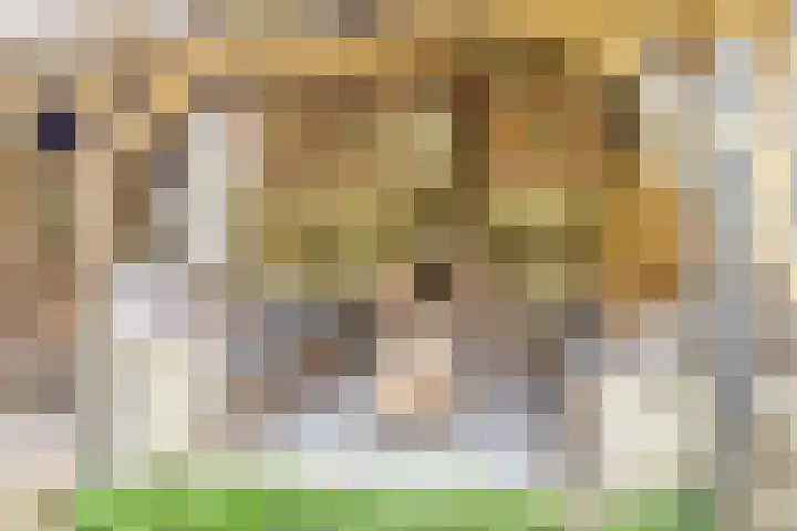 Van den Elsenstraat 20 Diessen thumbnail 55
