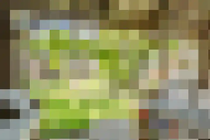 Van den Elsenstraat 20 Diessen thumbnail 56