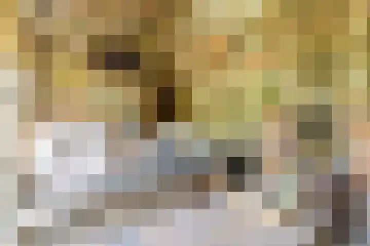 Van den Elsenstraat 20 Diessen thumbnail 57