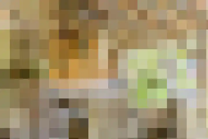 Van den Elsenstraat 20 Diessen thumbnail 58