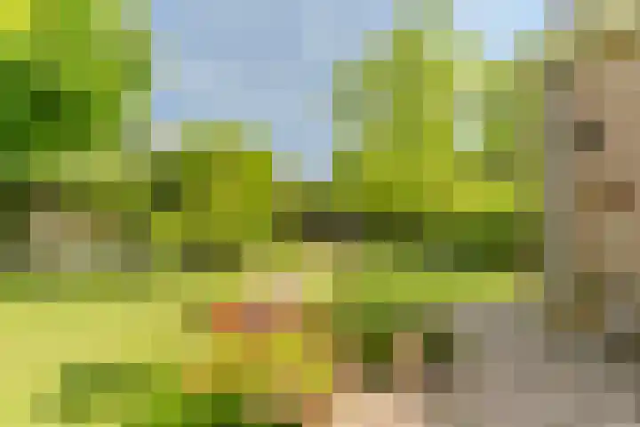 Van den Elsenstraat 20 Diessen thumbnail 60