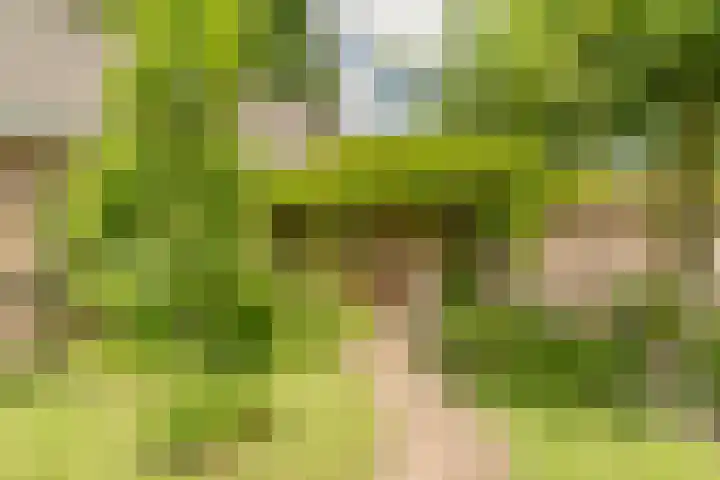 Van den Elsenstraat 20 Diessen thumbnail 61
