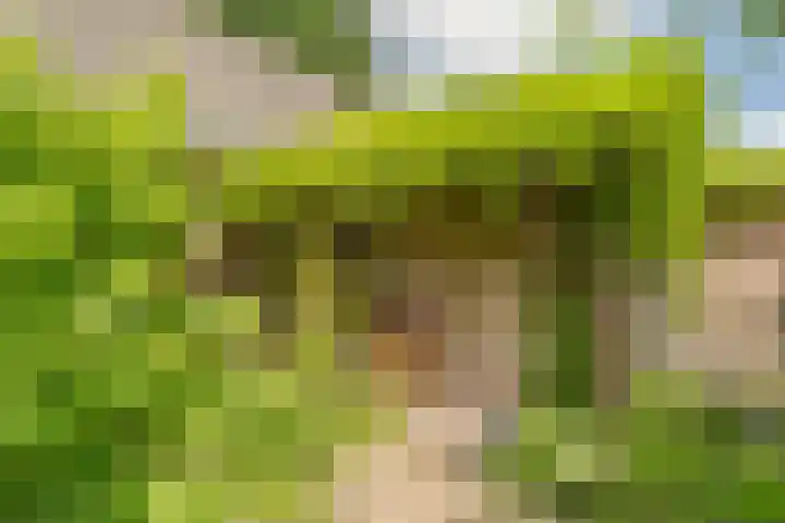 Van den Elsenstraat 20 Diessen thumbnail 62