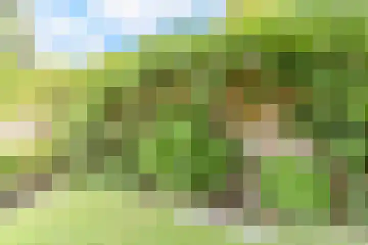 Van den Elsenstraat 20 Diessen thumbnail 63