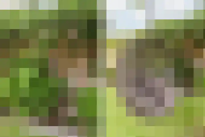 Van den Elsenstraat 20 Diessen thumbnail 64