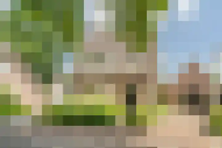 Van den Elsenstraat 20 Diessen thumbnail 65