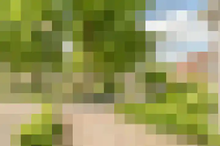 Van den Elsenstraat 20 Diessen thumbnail 66