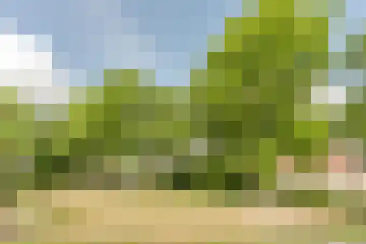 Van den Elsenstraat 20 Diessen thumbnail 67