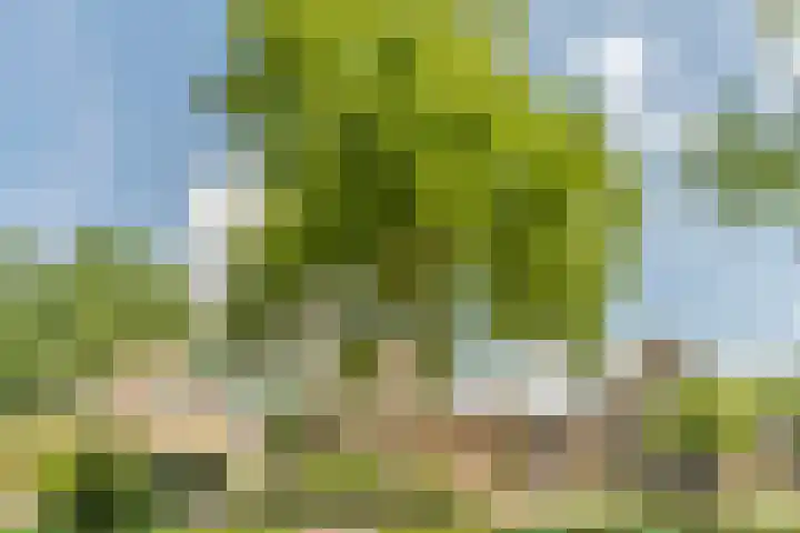 Van den Elsenstraat 20 Diessen thumbnail 68