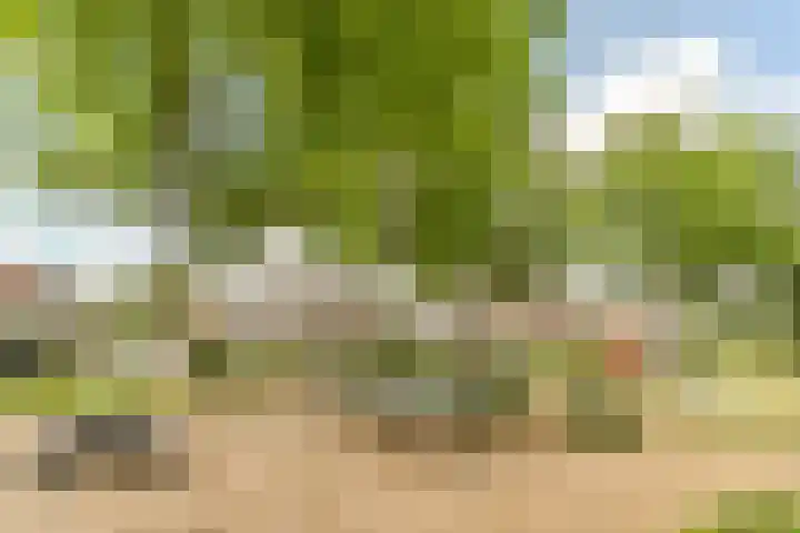 Van den Elsenstraat 20 Diessen thumbnail 69