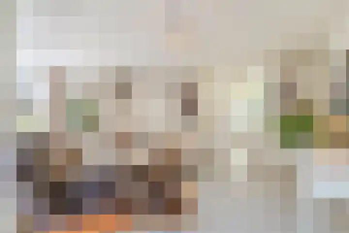Van den Elsenstraat 20 Diessen thumbnail 7