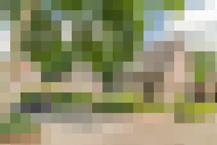 Van den Elsenstraat 20 Diessen thumbnail 73
