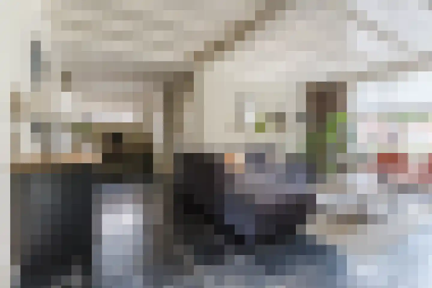 Van den Elsenstraat 21 Hapert thumbnail 14
