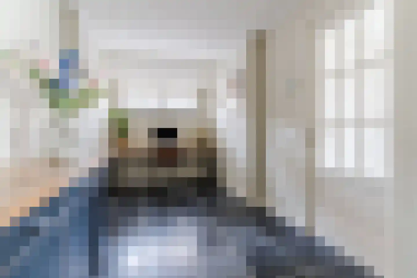 Van den Elsenstraat 21 Hapert thumbnail 15