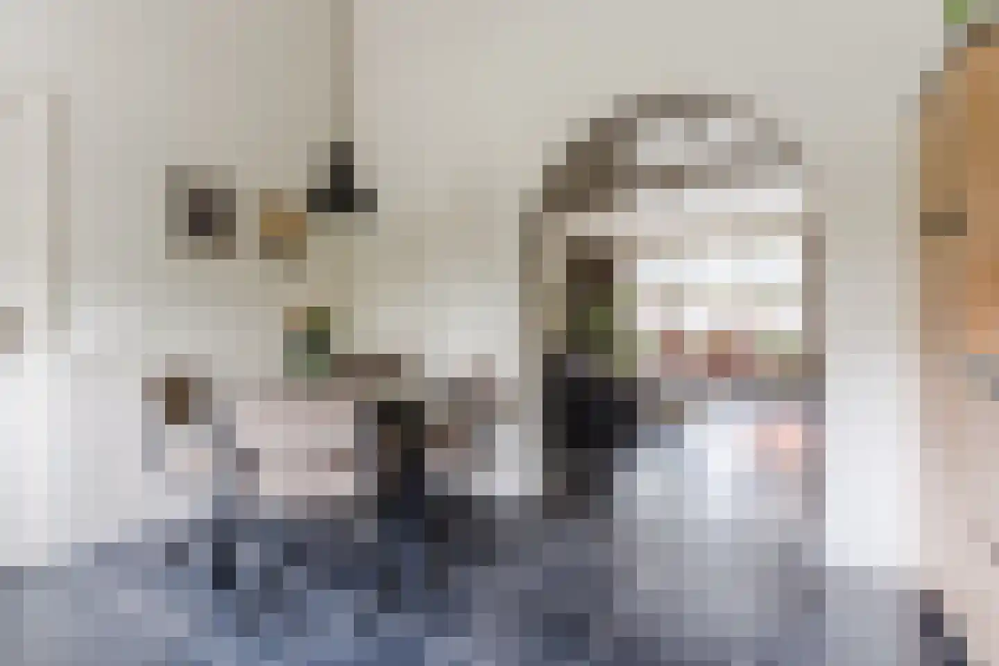 Van den Elsenstraat 21 Hapert thumbnail 18