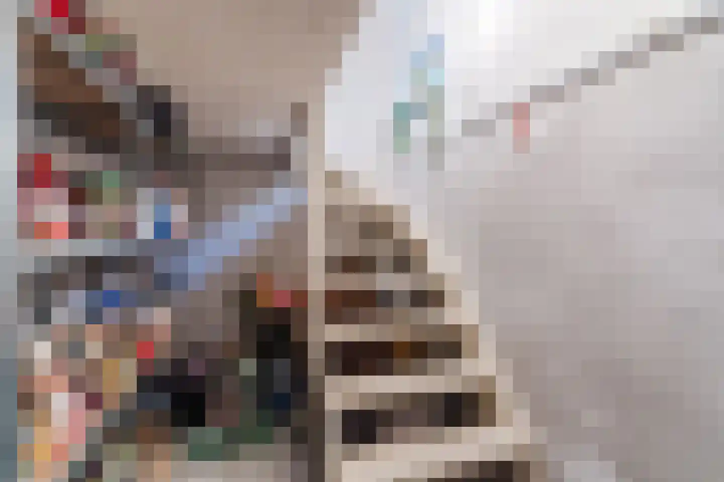 Van den Elsenstraat 21 Hapert thumbnail 20