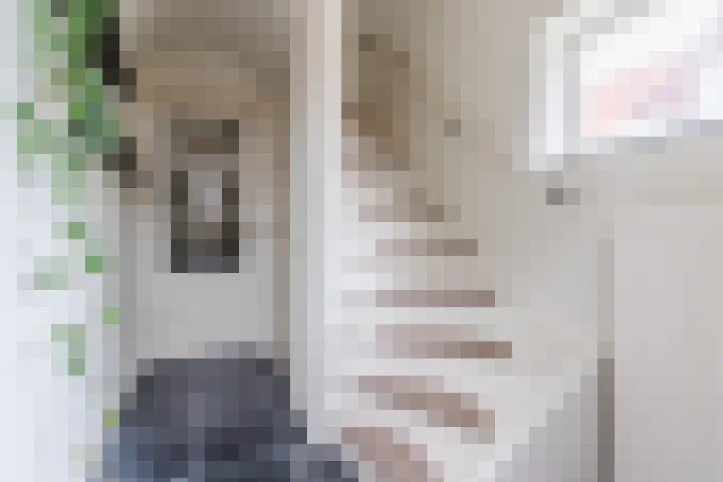 Van den Elsenstraat 21 Hapert thumbnail 21