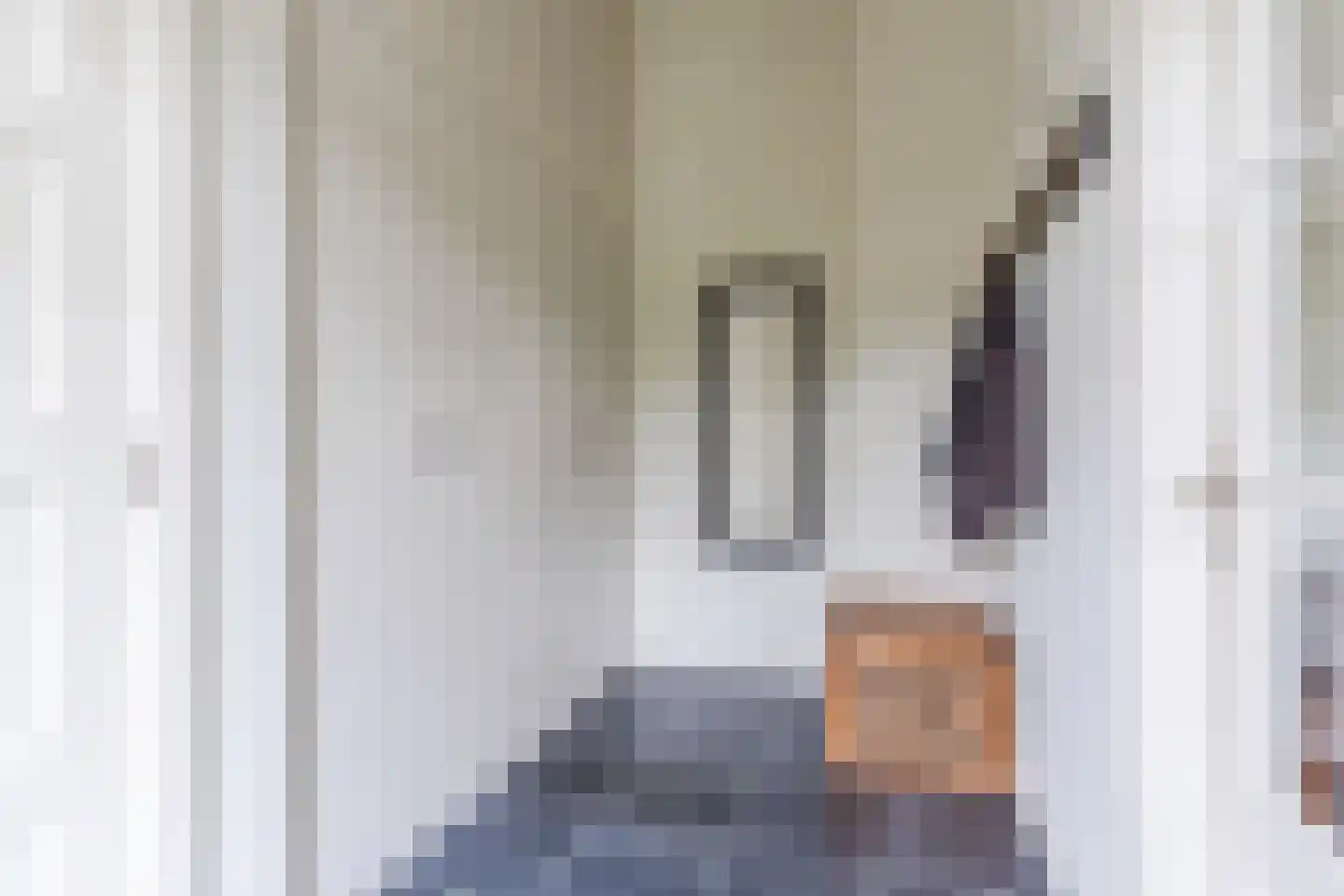 Van den Elsenstraat 21 Hapert thumbnail 23