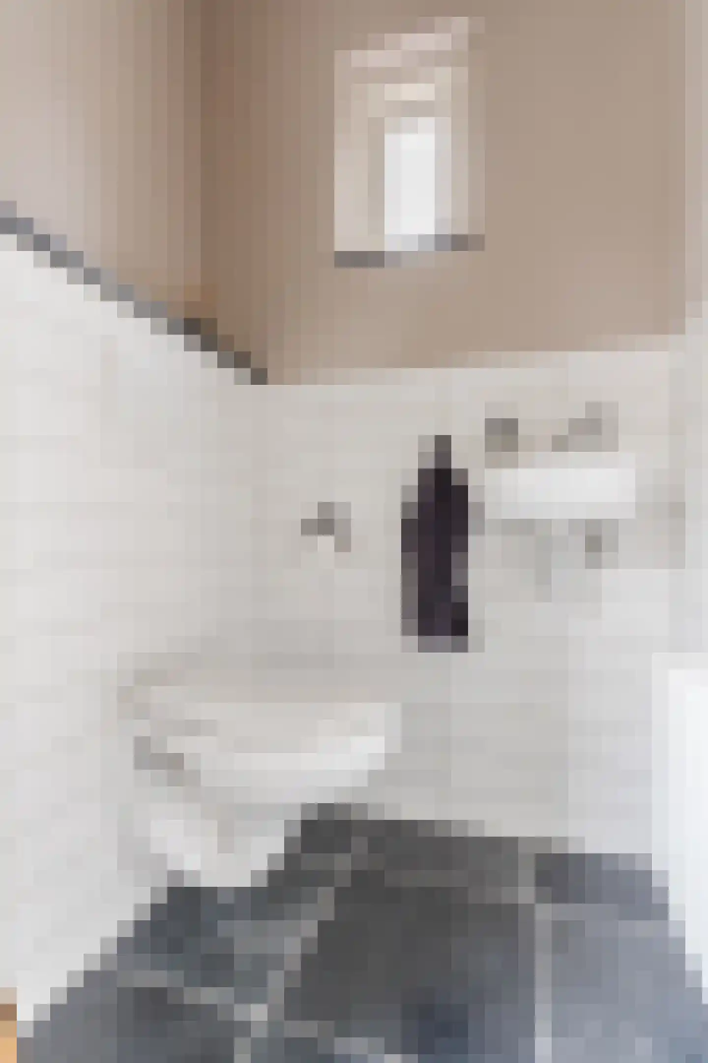 Van den Elsenstraat 21 Hapert thumbnail 25