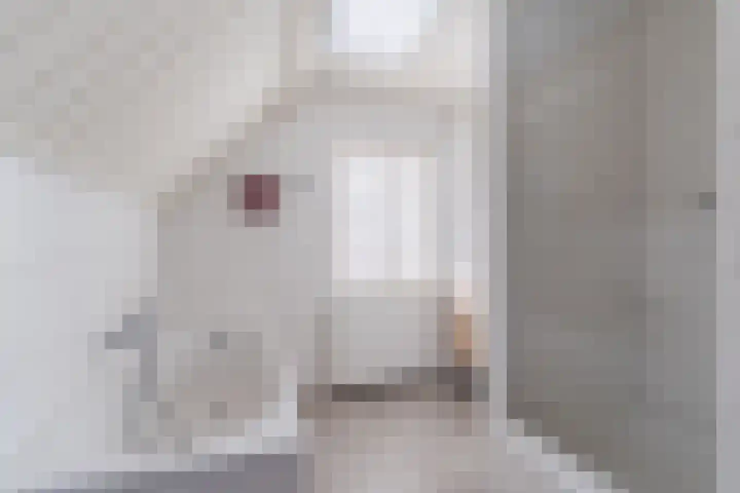 Van den Elsenstraat 21 Hapert thumbnail 31