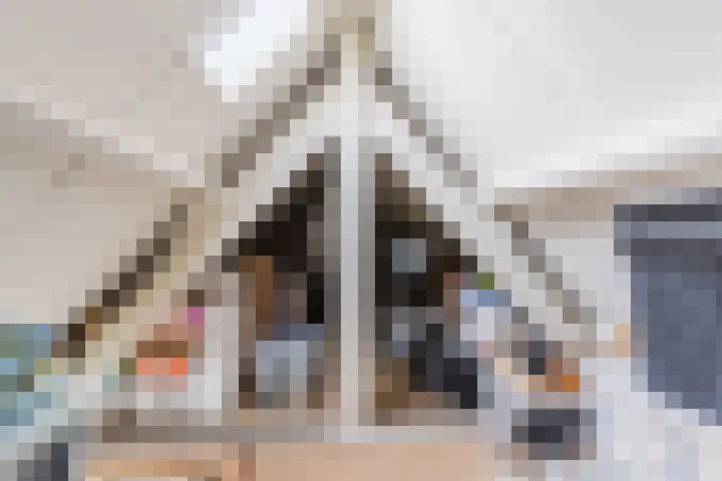 Van den Elsenstraat 21 Hapert thumbnail 33