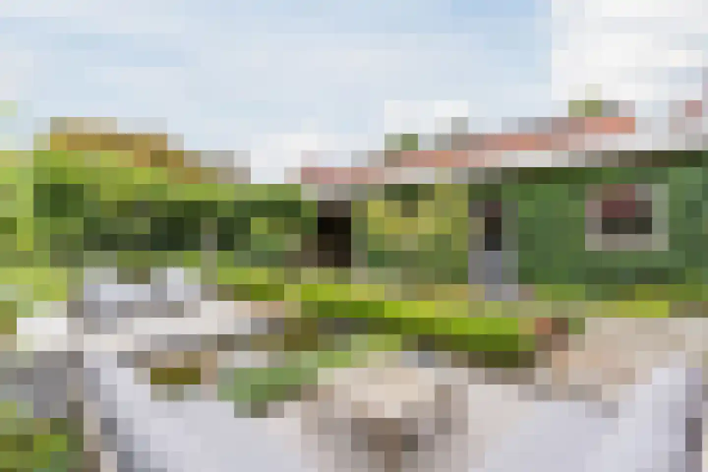 Van den Elsenstraat 21 Hapert thumbnail 36