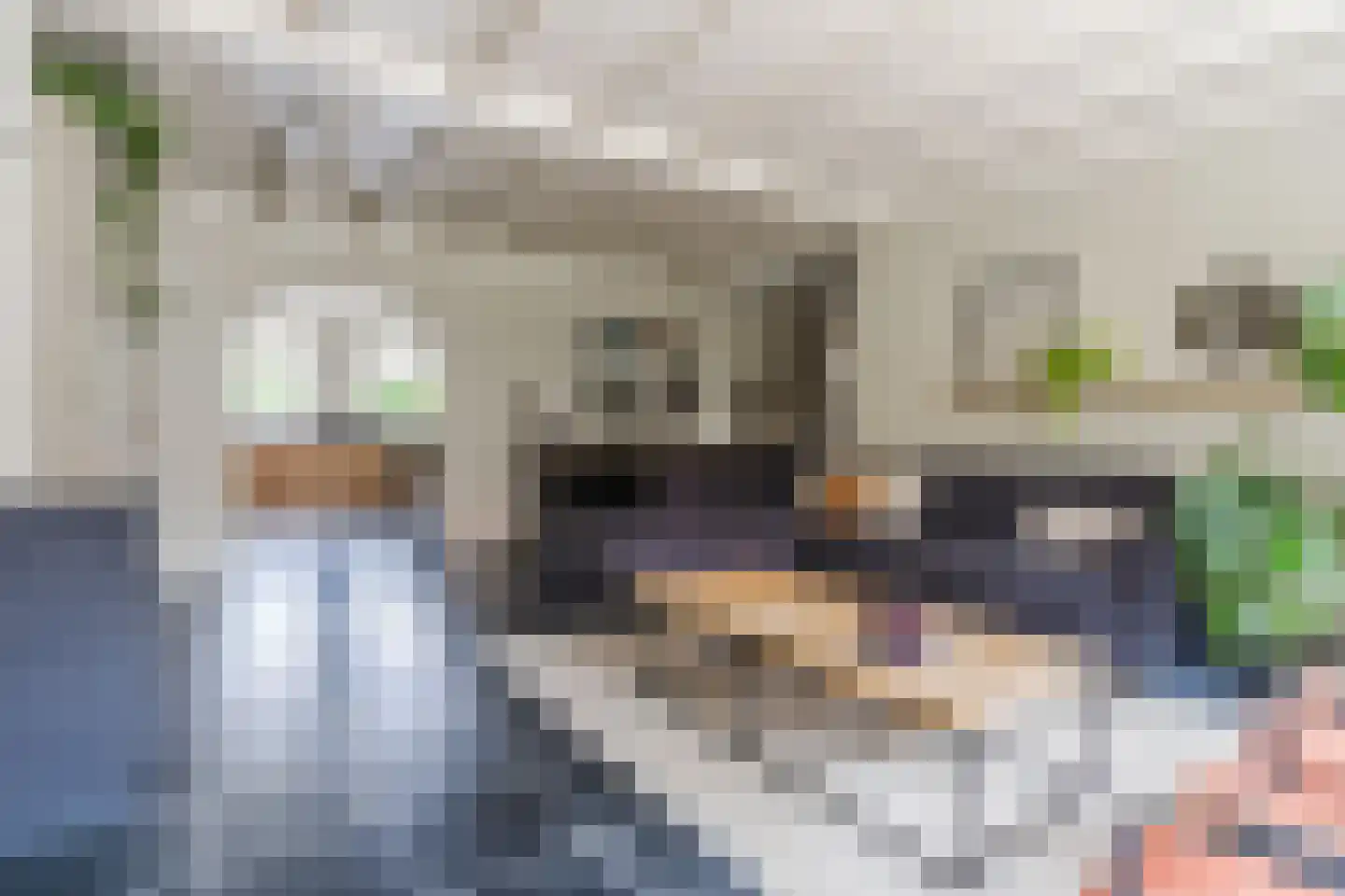 Van den Elsenstraat 21 Hapert thumbnail 4