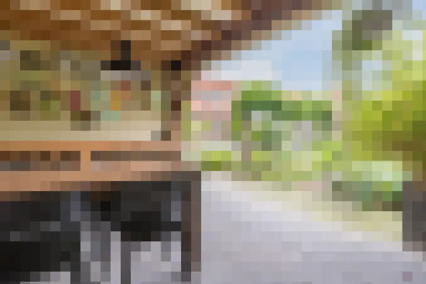 Van den Elsenstraat 21 Hapert thumbnail 40