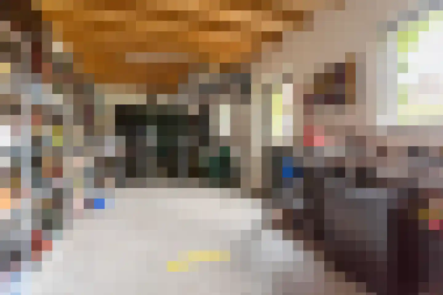 Van den Elsenstraat 21 Hapert thumbnail 43