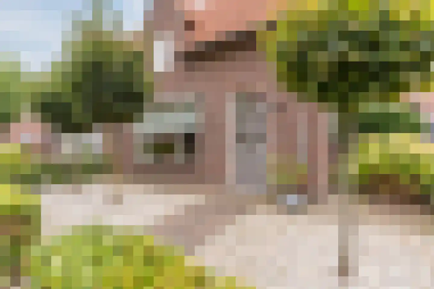 Van den Elsenstraat 21 Hapert thumbnail 8