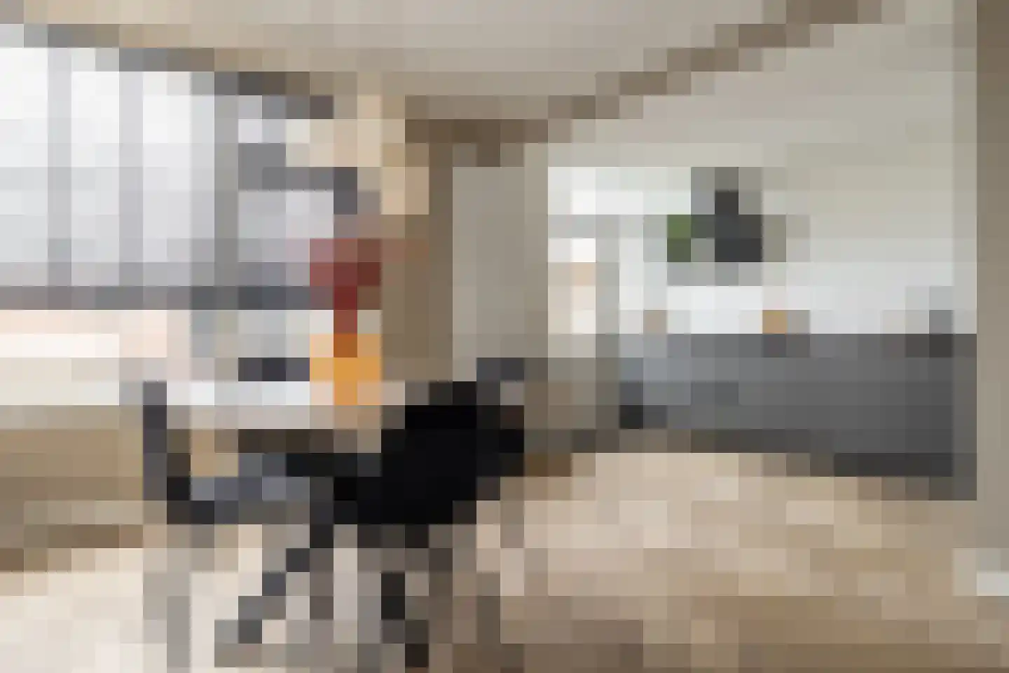 Van den Elsenstraat 24 Etten-Leur thumbnail 11