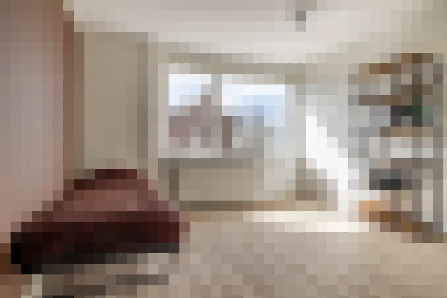 Van den Elsenstraat 24 Etten-Leur thumbnail 27