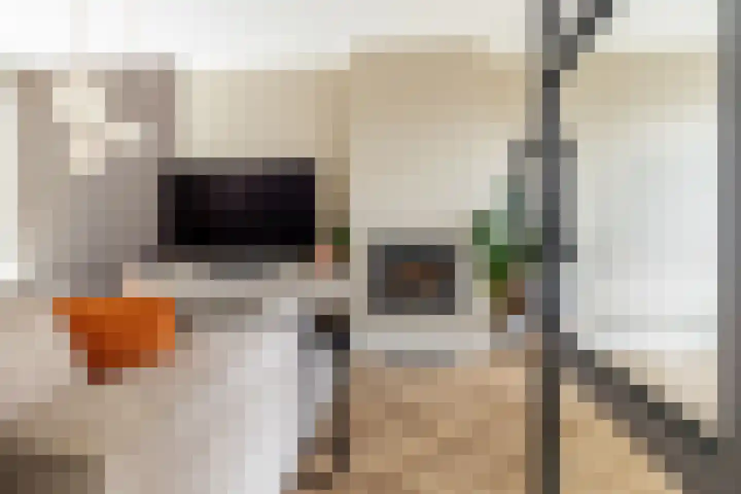 Van den Elsenstraat 24 Etten-Leur thumbnail 4