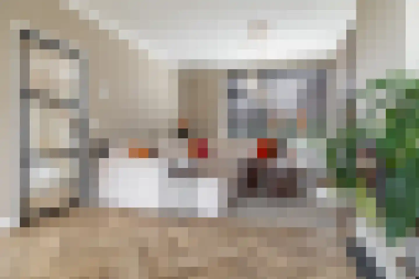 Van den Elsenstraat 24 Etten-Leur thumbnail 6
