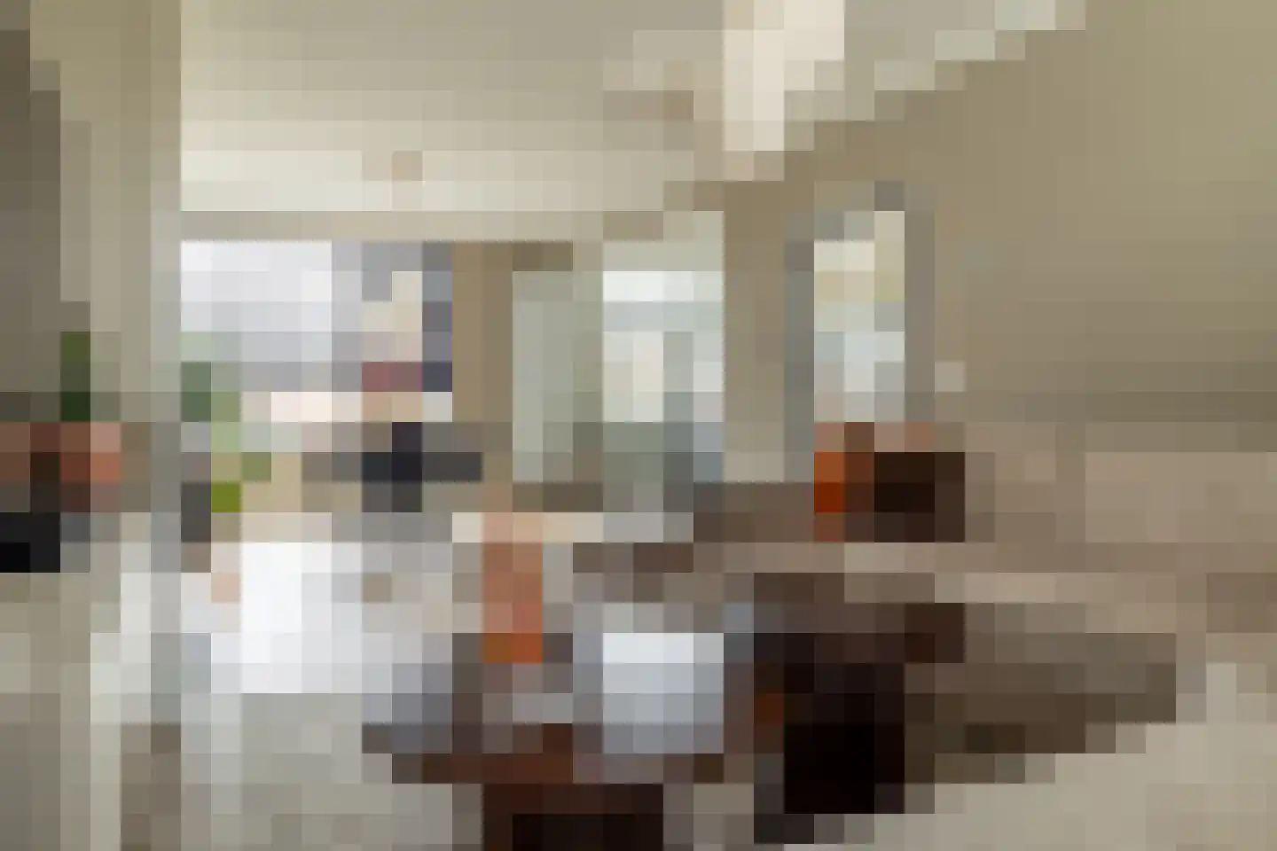 Van den Elsenstraat 24 Etten-Leur thumbnail 8