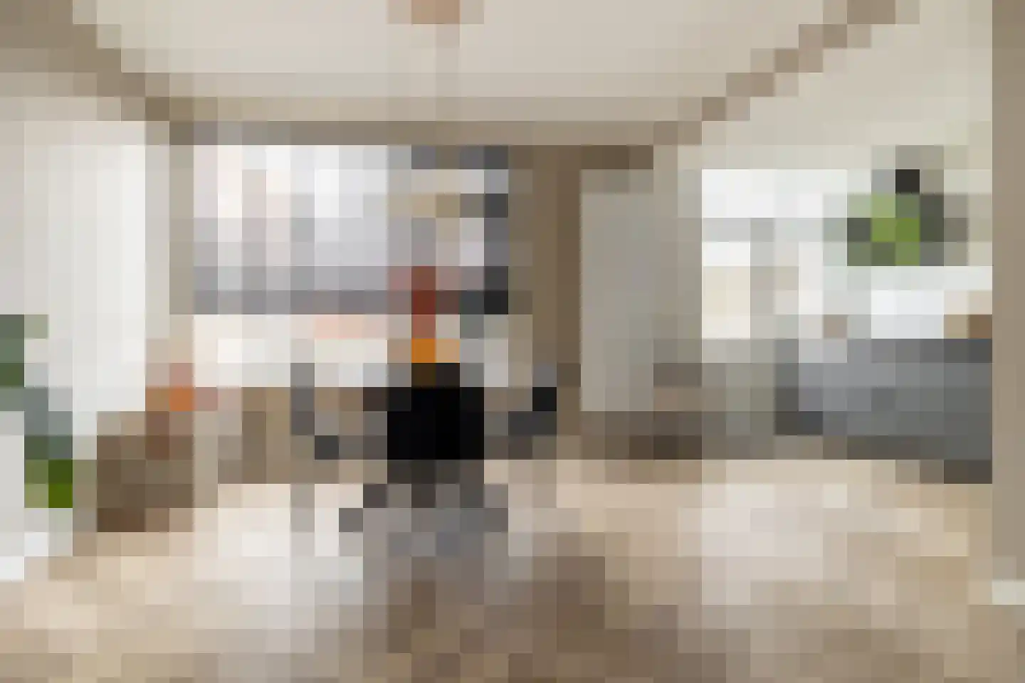 Van den Elsenstraat 24 Etten-Leur thumbnail 9