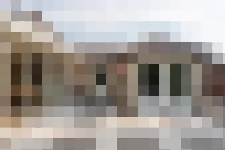 van den Elsenstraat 30 a Son en Breugel thumbnail 48