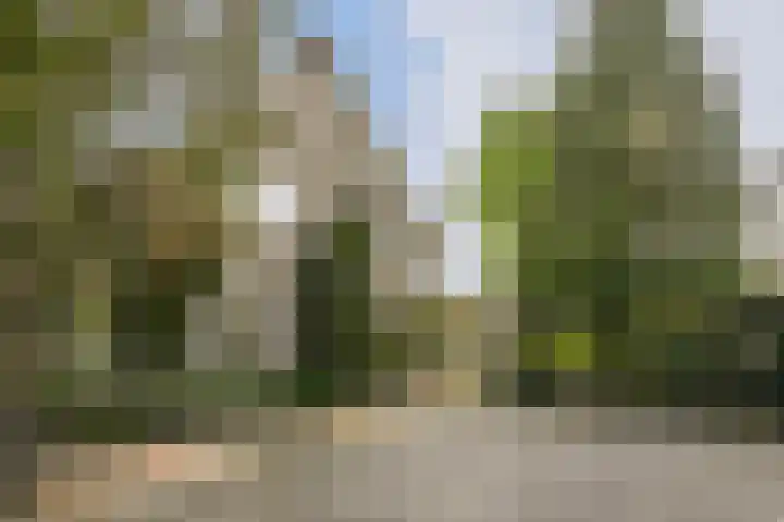 van den Elsenstraat 30 a Son en Breugel thumbnail 5