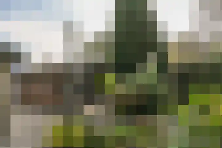 van den Elsenstraat 30 a Son en Breugel thumbnail 51
