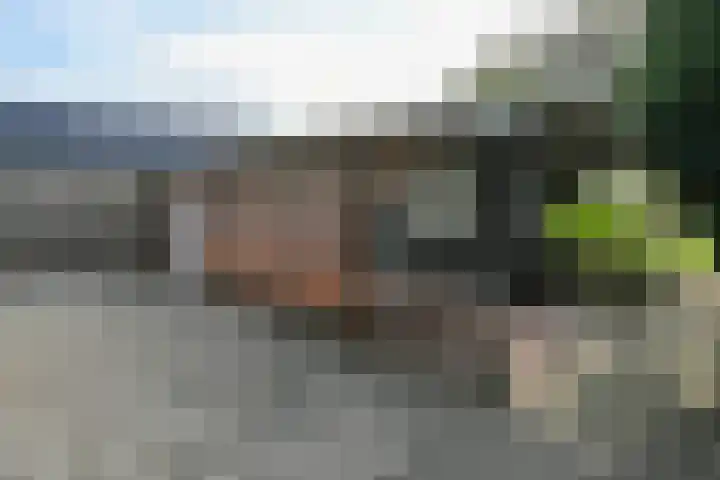 van den Elsenstraat 30 a Son en Breugel thumbnail 52