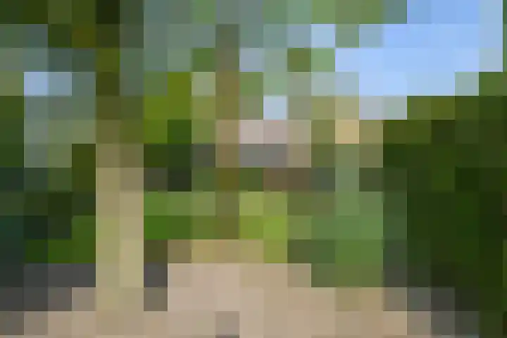 van den Elsenstraat 30 a Son en Breugel thumbnail 56
