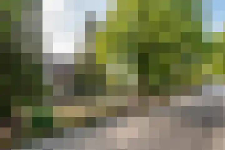 van den Elsenstraat 30 a Son en Breugel thumbnail 62