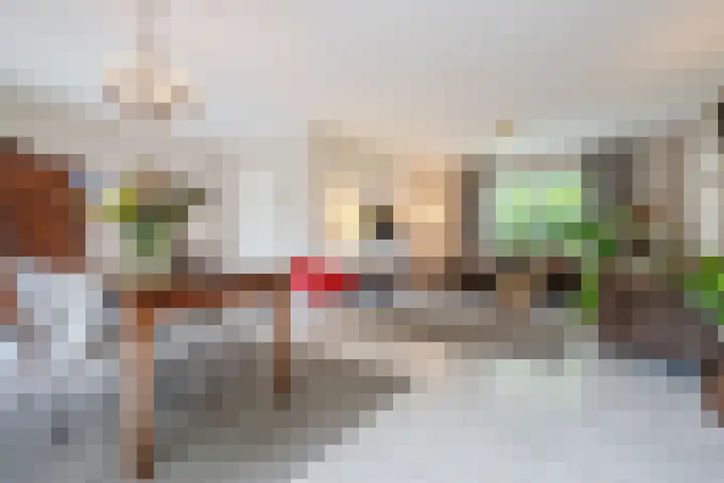 Van den Elsenstraat 31 Diessen thumbnail 10