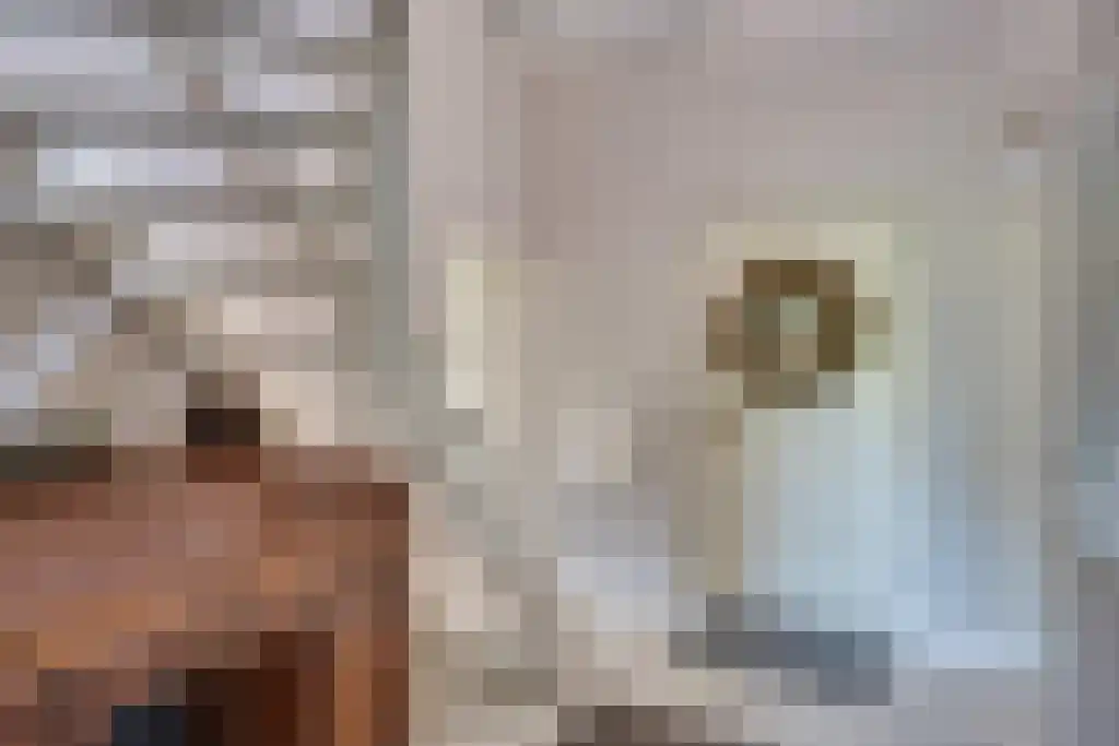 Van den Elsenstraat 31 Diessen thumbnail 11