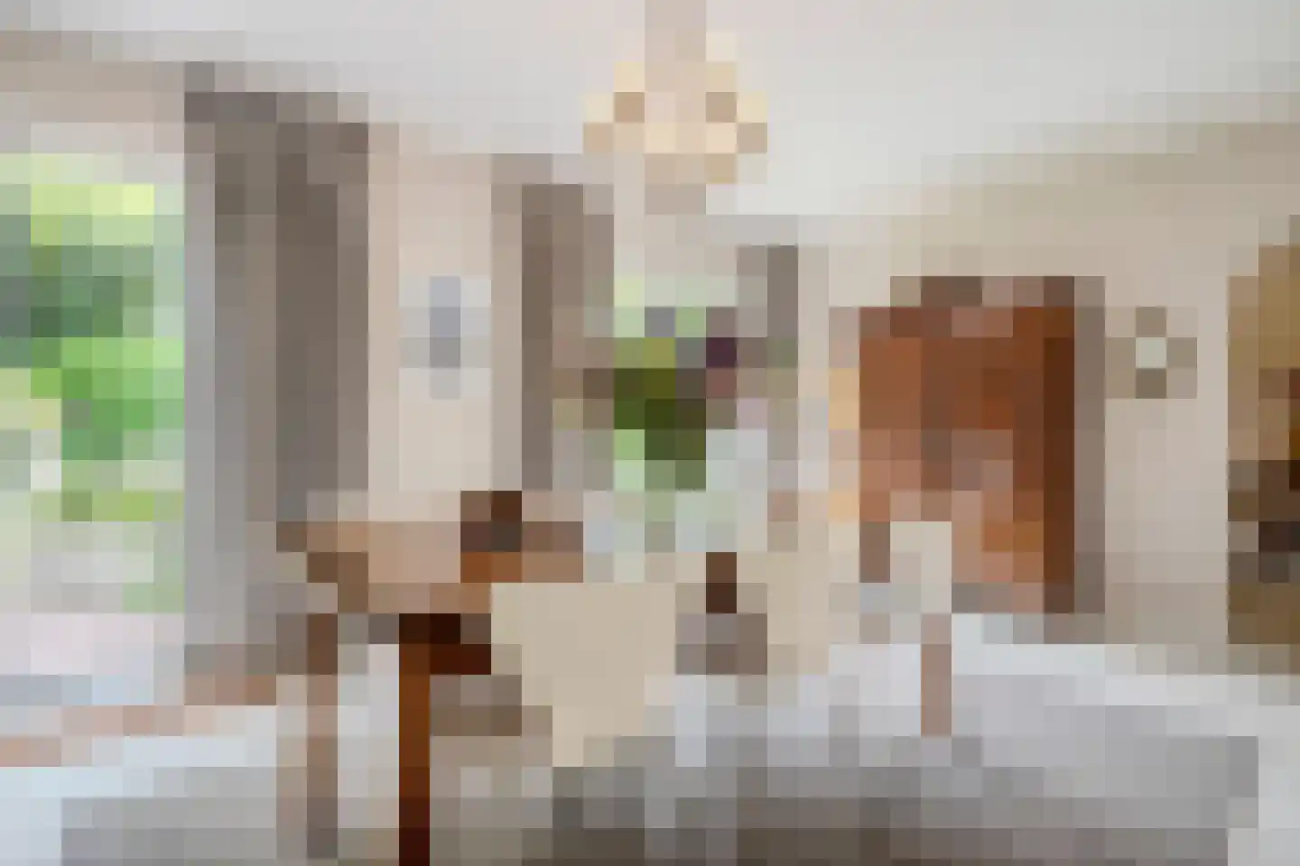 Van den Elsenstraat 31 Diessen thumbnail 13
