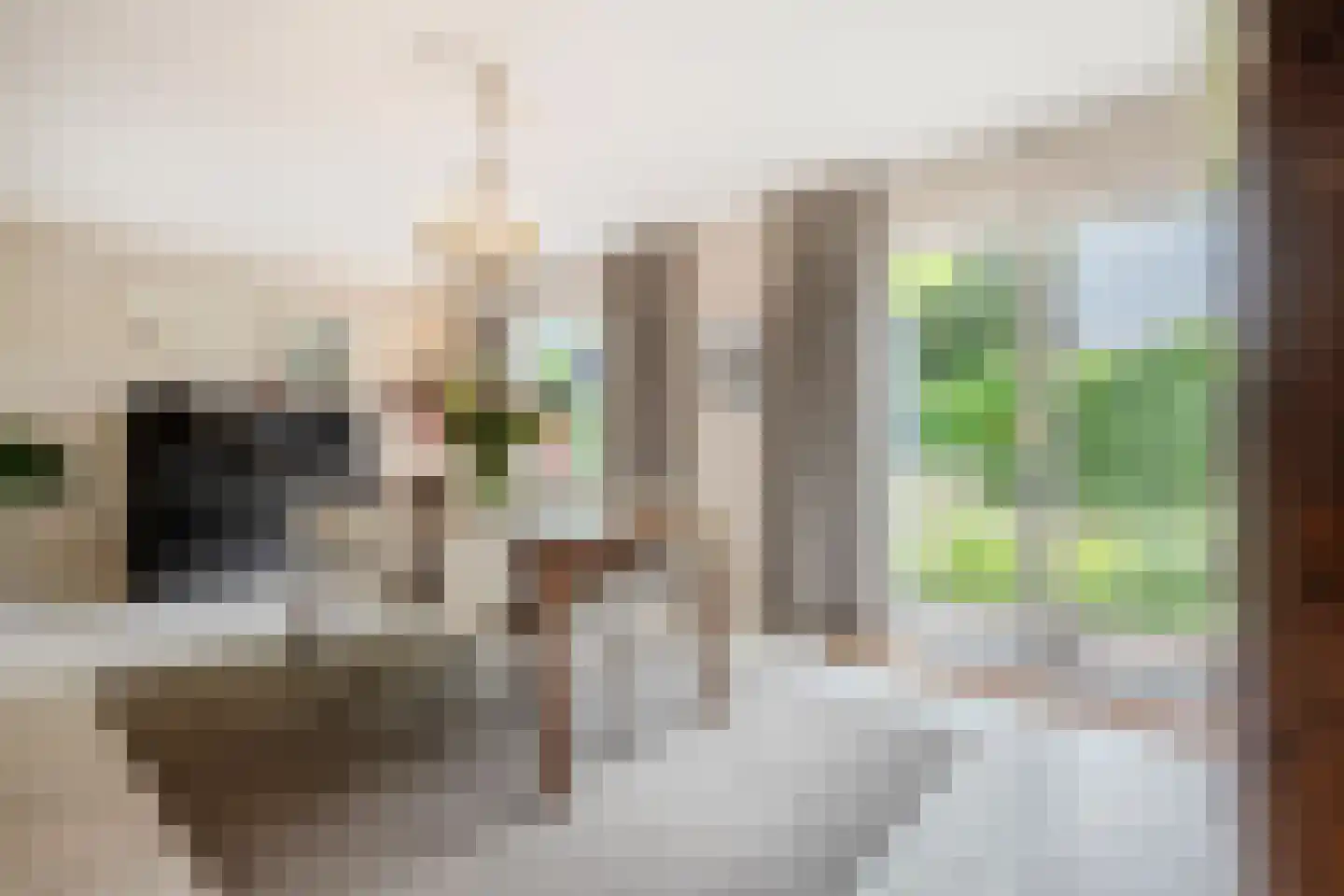 Van den Elsenstraat 31 Diessen thumbnail 14