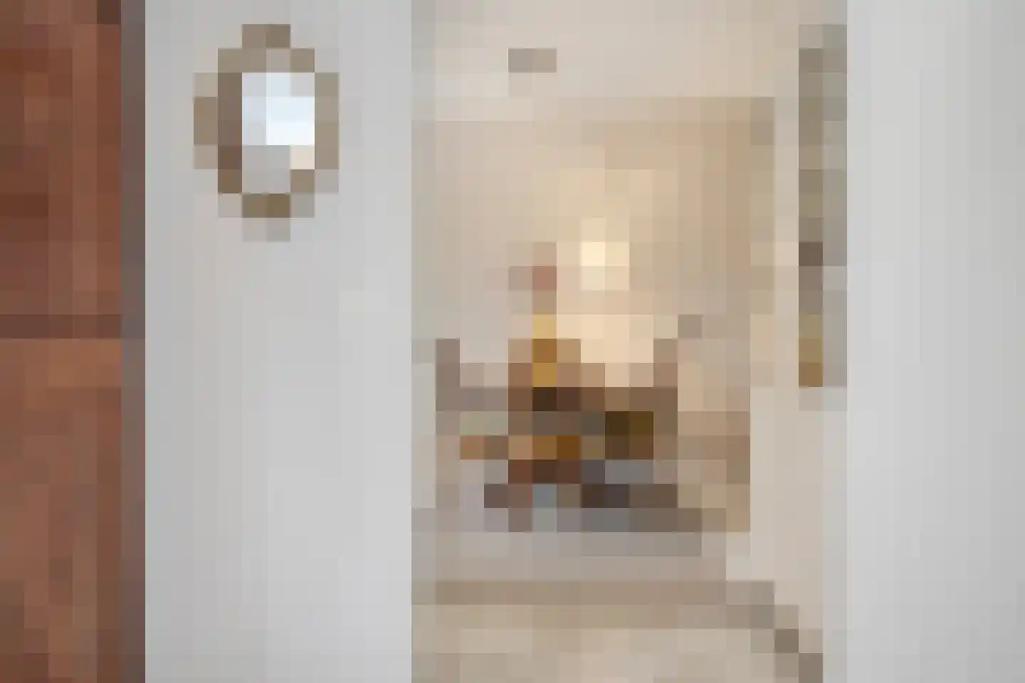 Van den Elsenstraat 31 Diessen thumbnail 15