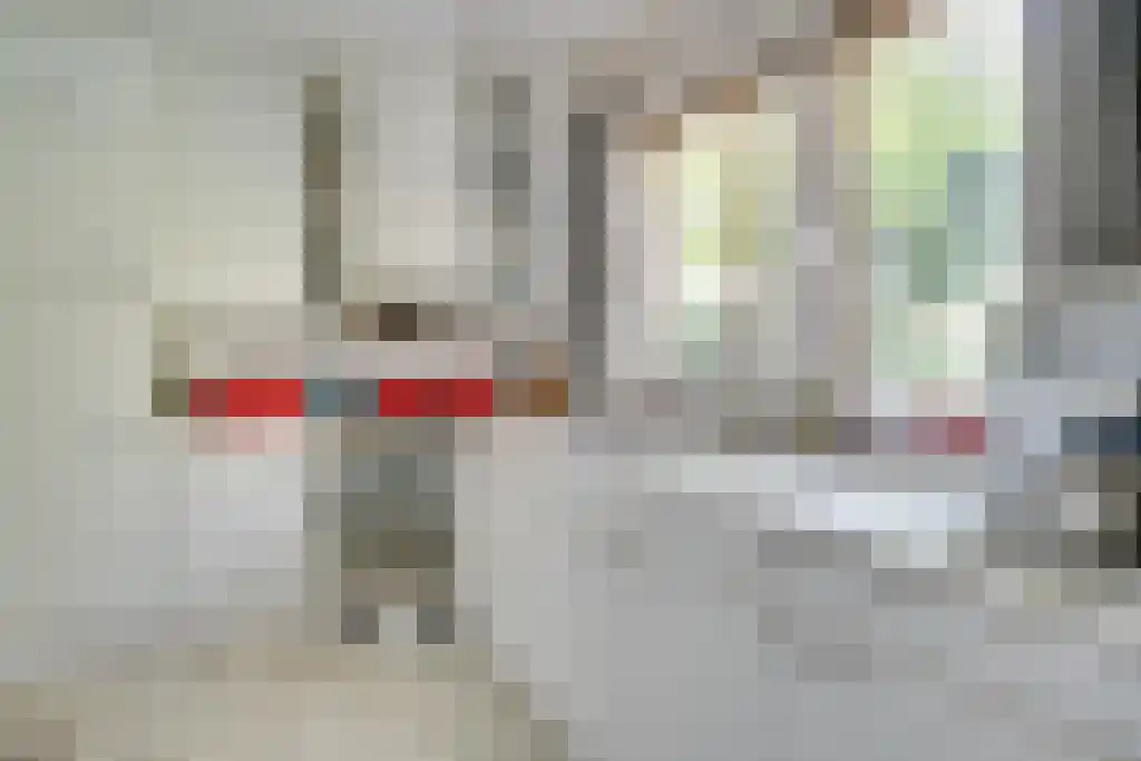 Van den Elsenstraat 31 Diessen thumbnail 16