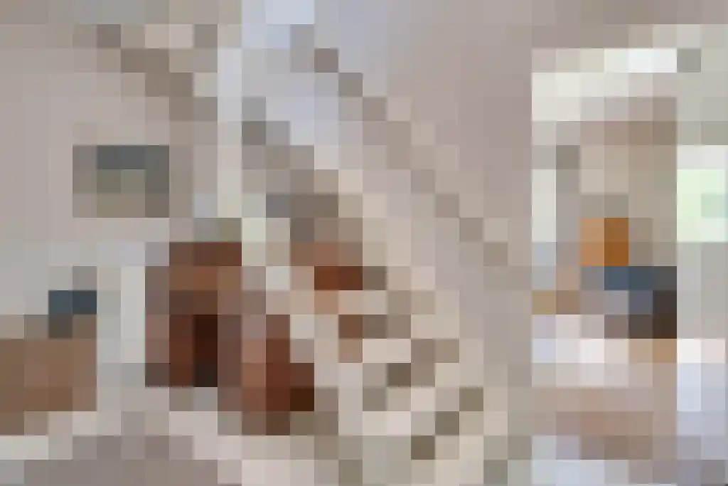 Van den Elsenstraat 31 Diessen thumbnail 19